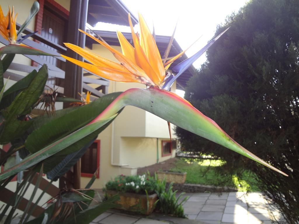 Pousada Floratta Nossa Casa Gramado Zewnętrze zdjęcie
