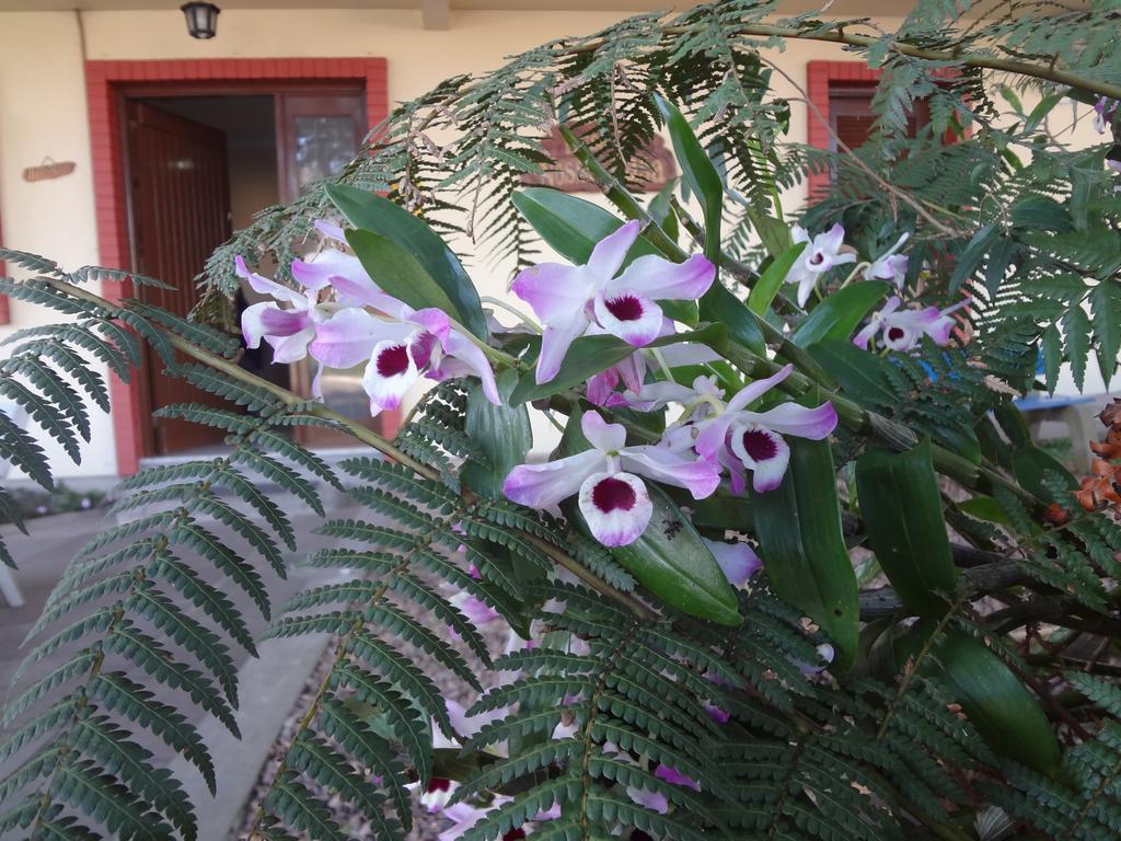 Pousada Floratta Nossa Casa Gramado Zewnętrze zdjęcie